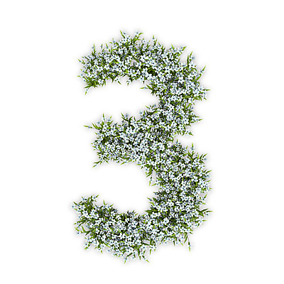 PSD 식물 편집이미지 문자 꽃 텍스트 3 타이포그라피 사람없음 숫자 3D 흰색 삼 수국 편집3D 컬러 채소 디지털합성 파일형식