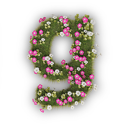 PSD 식물 편집이미지 문자 알파벳 영어 꽃 분홍색 텍스트 타이포그라피 사람없음 3D 흰색 G 소문자 나팔꽃 편집3D 컬러 디지털합성 파일형식