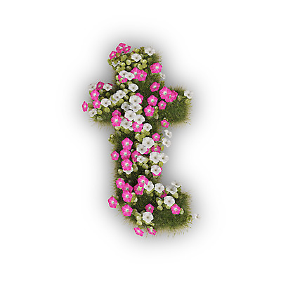 PSD 식물 편집이미지 문자 알파벳 영어 꽃 분홍색 텍스트 타이포그라피 사람없음 3D 흰색 소문자 나팔꽃 T 편집3D 컬러 디지털합성 파일형식