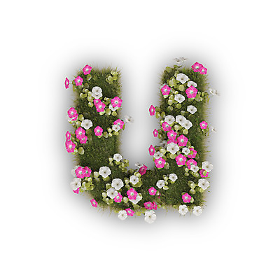 PSD 식물 편집이미지 문자 알파벳 영어 꽃 분홍색 텍스트 타이포그라피 사람없음 3D 흰색 U 유 소문자 나팔꽃 편집3D 컬러 디지털합성 파일형식