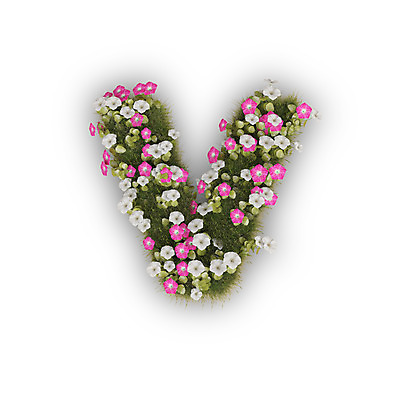 PSD 식물 편집이미지 문자 알파벳 영어 꽃 분홍색 텍스트 타이포그라피 사람없음 3D 흰색 V 소문자 나팔꽃 편집3D 컬러 디지털합성 파일형식