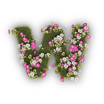 PSD 식물 편집이미지 문자 알파벳 영어 꽃 분홍색 텍스트 타이포그라피 사람없음 3D 흰색 소문자 나팔꽃 W 편집3D 컬러 디지털합성 파일형식