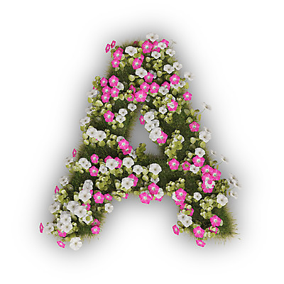 PSD 식물 편집이미지 문자 알파벳 영어 꽃 분홍색 텍스트 대문자 타이포그라피 사람없음 3D 흰색 A 나팔꽃 편집3D 컬러 디지털합성 파일형식