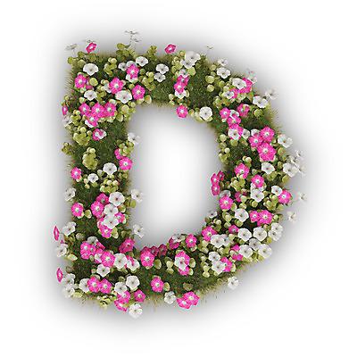 PSD 식물 편집이미지 문자 알파벳 영어 꽃 분홍색 텍스트 대문자 타이포그라피 사람없음 3D 흰색 나팔꽃 D 편집3D 컬러 디지털합성 파일형식