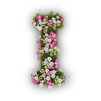 PSD 식물 편집이미지 문자 알파벳 영어 꽃 분홍색 텍스트 대문자 타이포그라피 사람없음 3D 흰색 나팔꽃 I 편집3D 컬러 디지털합성 파일형식