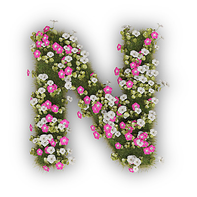 PSD 식물 편집이미지 문자 알파벳 영어 꽃 분홍색 텍스트 대문자 타이포그라피 사람없음 3D 흰색 엔 N 나팔꽃 편집3D 컬러 돈 디지털합성 파일형식