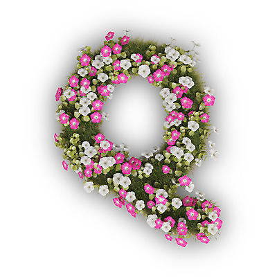 PSD 식물 편집이미지 문자 알파벳 영어 꽃 분홍색 텍스트 대문자 타이포그라피 사람없음 3D 흰색 나팔꽃 Q 편집3D 컬러 디지털합성 파일형식