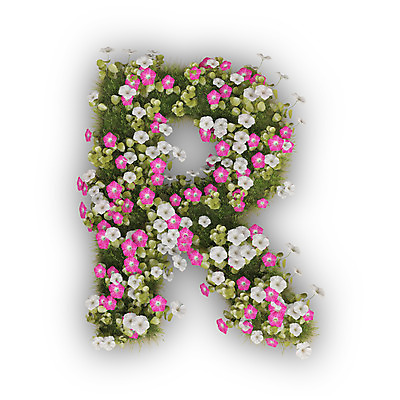PSD 식물 편집이미지 문자 알파벳 영어 꽃 분홍색 텍스트 대문자 타이포그라피 사람없음 3D 알 흰색 나팔꽃 R 편집3D 컬러 디지털합성 파일형식