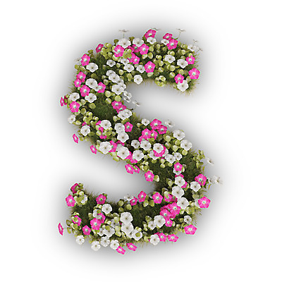 PSD 식물 편집이미지 문자 알파벳 영어 꽃 분홍색 텍스트 대문자 타이포그라피 사람없음 3D 흰색 나팔꽃 S 편집3D 컬러 디지털합성 파일형식