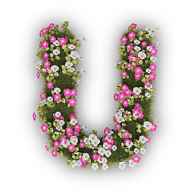 PSD 식물 편집이미지 문자 알파벳 영어 꽃 분홍색 텍스트 대문자 타이포그라피 사람없음 3D 흰색 U 유 나팔꽃 편집3D 컬러 디지털합성 파일형식