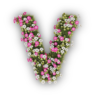 PSD 식물 편집이미지 문자 알파벳 영어 꽃 분홍색 텍스트 대문자 타이포그라피 사람없음 3D 흰색 V 나팔꽃 편집3D 컬러 디지털합성 파일형식