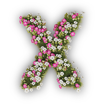 PSD 식물 편집이미지 문자 알파벳 영어 꽃 분홍색 텍스트 대문자 타이포그라피 사람없음 3D 금지 흰색 X 아니오 나팔꽃 편집3D 컬러 디지털합성 파일형식