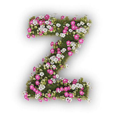 PSD 식물 편집이미지 문자 알파벳 영어 꽃 분홍색 텍스트 대문자 타이포그라피 사람없음 3D 흰색 나팔꽃 Z 편집3D 컬러 디지털합성 파일형식