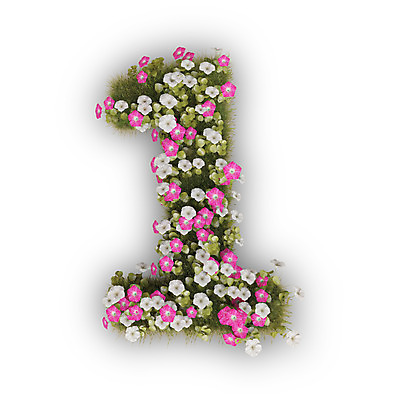 PSD 식물 편집이미지 문자 1 꽃 분홍색 텍스트 타이포그라피 사람없음 숫자 3D 흰색 나팔꽃 편집3D 컬러 디지털합성 파일형식