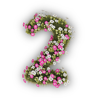 PSD 식물 편집이미지 문자 꽃 분홍색 2 텍스트 타이포그라피 사람없음 숫자 3D 흰색 나팔꽃 편집3D 컬러 디지털합성 파일형식