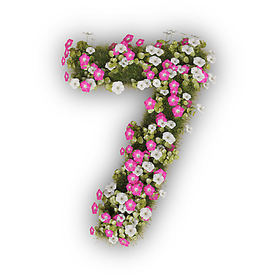 PSD 식물 편집이미지 문자 꽃 분홍색 텍스트 타이포그라피 사람없음 숫자 3D 흰색 칠 나팔꽃 7 편집3D 컬러 디지털합성 파일형식