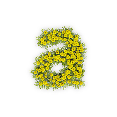 PSD 식물 편집이미지 문자 알파벳 영어 꽃 텍스트 국화 타이포그라피 사람없음 노란색 3D A 소문자 편집3D 컬러 디지털합성 파일형식