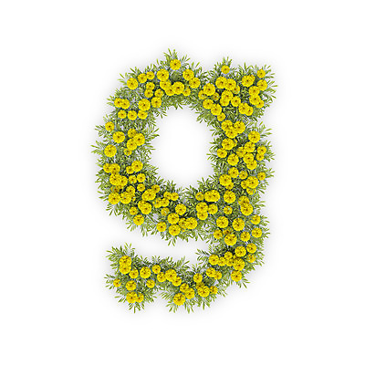 PSD 식물 편집이미지 문자 알파벳 영어 꽃 텍스트 국화 타이포그라피 사람없음 노란색 3D G 소문자 편집3D 컬러 디지털합성 파일형식