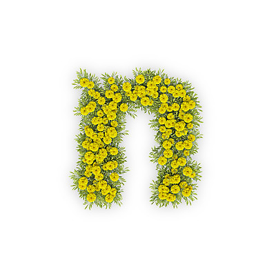 PSD 식물 편집이미지 문자 알파벳 영어 꽃 텍스트 국화 타이포그라피 사람없음 노란색 3D 엔 N 소문자 편집3D 컬러 돈 디지털합성 파일형식