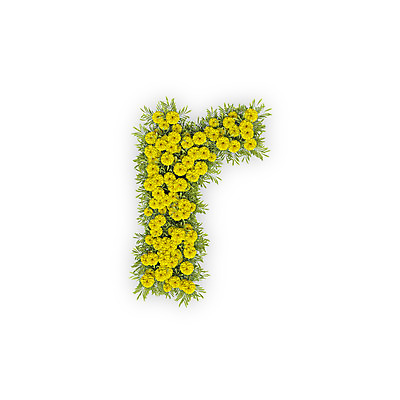 PSD 식물 편집이미지 문자 알파벳 영어 꽃 텍스트 국화 타이포그라피 사람없음 노란색 3D 알 소문자 R 편집3D 컬러 디지털합성 파일형식