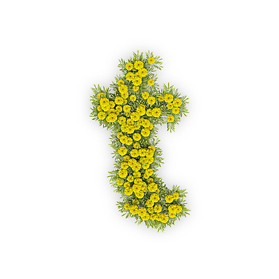 PSD 식물 편집이미지 문자 알파벳 영어 꽃 텍스트 국화 타이포그라피 사람없음 노란색 3D 소문자 T 편집3D 컬러 디지털합성 파일형식