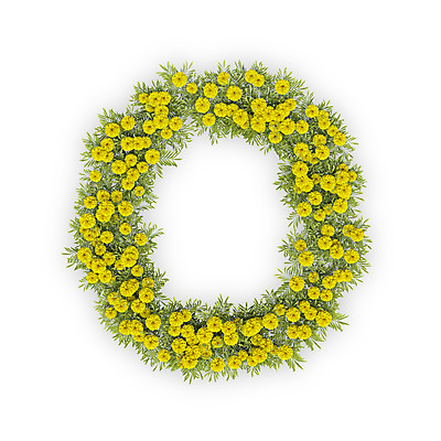 PSD 식물 편집이미지 문자 알파벳 영어 꽃 텍스트 대문자 국화 타이포그라피 사람없음 노란색 3D 오 O 편집3D 컬러 디지털합성 파일형식