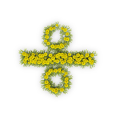 PSD 식물 편집이미지 문자 기호 꽃 텍스트 국화 타이포그라피 사람없음 노란색 3D 나누기 연산기호 편집3D 컬러 디지털합성 파일형식