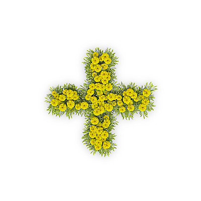 PSD 식물 편집이미지 문자 기호 꽃 텍스트 국화 타이포그라피 사람없음 노란색 3D 플러스 연산기호 편집3D 컬러 디지털합성 파일형식