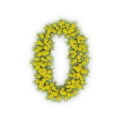 PSD 식물 편집이미지 문자 꽃 텍스트 국화 타이포그라피 사람없음 숫자 노란색 3D 영 편집3D 컬러 디지털합성 파일형식