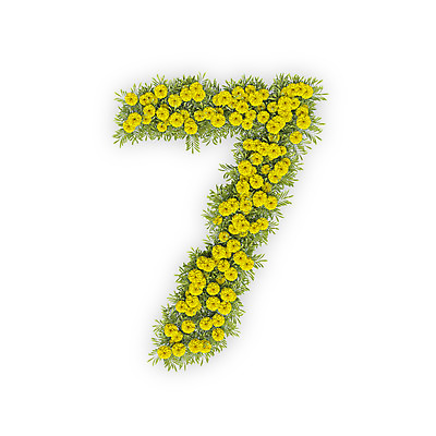 PSD 식물 편집이미지 문자 꽃 텍스트 국화 타이포그라피 사람없음 숫자 노란색 3D 칠 7 편집3D 컬러 디지털합성 파일형식