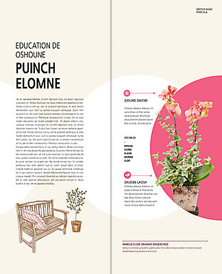 PSD 식물 템플릿 편집 표지디자인 북디자인 출판디자인 꽃 내지 화분 리플렛 백그라운드 쿠션 2단접지 북커버 벤치 의자 팜플렛 사람없음 원예 호접란 이미지템플릿 가구 취미 파일형식