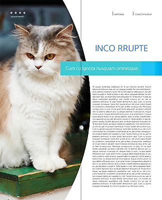 PSD 동물 템플릿 편집 한마리 표지디자인 북디자인 응시 출판디자인 내지 리플렛 백그라운드 2단접지 북커버 앉기 팜플렛 사람없음 반려동물 고양이 반려 이미지템플릿 1 시선 포유류 모션 파일형식