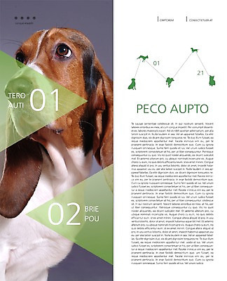 PSD 동물 템플릿 편집 표지디자인 북디자인 응시 출판디자인 내지 리플렛 백그라운드 2단접지 북커버 팜플렛 사람없음 반려동물 개 강아지 바셋하운드 반려 이미지템플릿 시선 포유류 하운드 파일형식