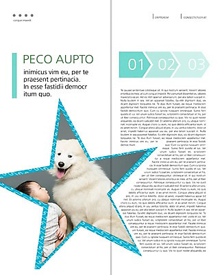 PSD 동물 템플릿 편집 한마리 표지디자인 북디자인 출판디자인 남자 별 내지 리플렛 백그라운드 2단접지 북커버 한명 사람 동양인 팜플렛 반려동물 한국인 아기 개 강아지 메롱 사모예드 반려 남자만 남자한명만 아기만 남자아기만 남자아기한명만 이미지템플릿 자연요소 1 포유류 모션 인종 파일형식