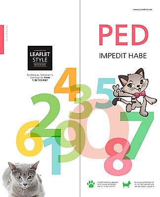 PSD 동물 템플릿 편집 캐릭터 표지디자인 북디자인 출판디자인 표지 리플렛 백그라운드 두마리 2단접지 북커버 팜플렛 사람없음 반려동물 숫자 고양이 러시안블루 반려 이미지템플릿 문자 2 포유류 파일형식