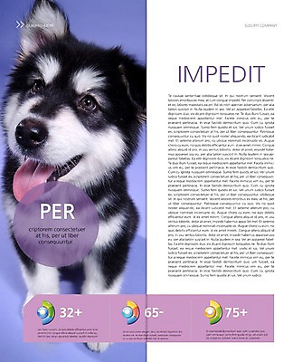 PSD 동물 템플릿 편집 한마리 표지디자인 북디자인 응시 출판디자인 내지 새끼 리플렛 백그라운드 2단접지 북커버 그래프 앉기 팜플렛 사람없음 반려동물 개 강아지 메롱 알래스칸말라뮤트 반려 이미지템플릿 1 시선 포유류 모션 파일형식