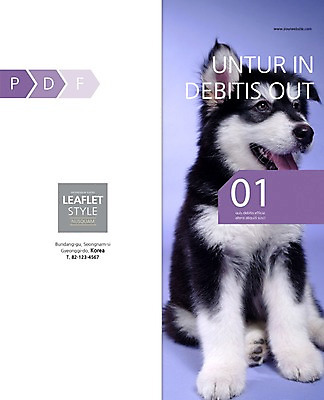 PSD 동물 템플릿 편집 한마리 표지디자인 북디자인 응시 출판디자인 표지 새끼 리플렛 백그라운드 2단접지 북커버 앉기 팜플렛 사람없음 반려동물 개 강아지 알래스칸말라뮤트 반려 이미지템플릿 1 시선 포유류 모션 파일형식