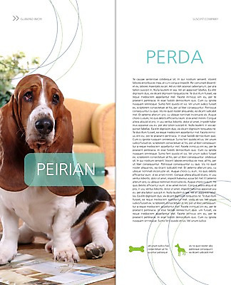 PSD 동물 템플릿 편집 한마리 표지디자인 북디자인 출판디자인 내지 리플렛 백그라운드 2단접지 북커버 뼈 앉기 팜플렛 사람없음 책 반려동물 개 강아지 바셋하운드 반려 이미지템플릿 1 포유류 모션 하운드 파일형식
