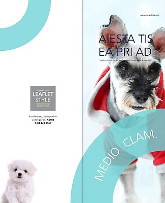PSD 동물 템플릿 편집 표지디자인 북디자인 출판디자인 표지 새끼 리플렛 백그라운드 두마리 2단접지 북커버 팜플렛 사람없음 반려동물 말티즈 개 강아지 슈나우저 강아지옷 반려 이미지템플릿 2 포유류 애견용품 파일형식