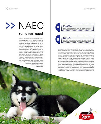 PSD 동물 템플릿 편집 한마리 표지디자인 북디자인 출판디자인 내지 리플렛 백그라운드 2단접지 북커버 뼈 앉기 팜플렛 초원 사람없음 반려동물 개 강아지 알래스칸말라뮤트 개밥그릇 반려 이미지템플릿 1 그릇 포유류 모션 애견용품 파일형식