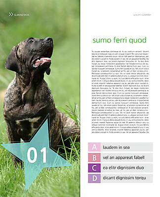 PSD 동물 템플릿 편집 한마리 표지디자인 북디자인 응시 출판디자인 내지 리플렛 백그라운드 2단접지 북커버 앉기 팜플렛 초원 사람없음 반려동물 개 강아지 반려 이미지템플릿 1 시선 포유류 모션 파일형식