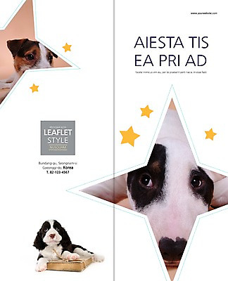 PSD 동물 템플릿 편집 표지디자인 북디자인 출판디자인 표지 별 새끼 리플렛 백그라운드 2단접지 북커버 세마리 앉기 팜플렛 사람없음 책 반려동물 개 강아지 불테리어 반려 이미지템플릿 자연요소 포유류 모션 3 테리어 파일형식