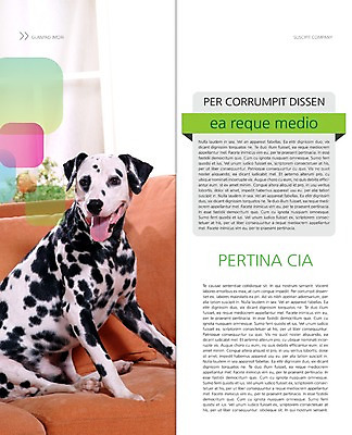 PSD 동물 템플릿 편집 한마리 표지디자인 북디자인 출판디자인 내지 리플렛 백그라운드 2단접지 북커버 앉기 팜플렛 사람없음 반려동물 소파 개 강아지 메롱 달마시안 반려 점박이 이미지템플릿 1 의자 포유류 모션 파일형식
