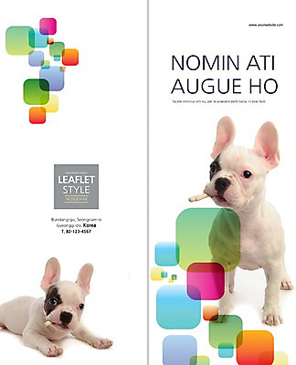 PSD 동물 템플릿 편집 표지디자인 북디자인 출판디자인 표지 새끼 엎드리기 리플렛 백그라운드 두마리 2단접지 북커버 디저트 팜플렛 사람없음 반려동물 개 강아지 먹기 반려 보스턴테리어 이미지템플릿 음식 2 포유류 모션 테리어 파일형식