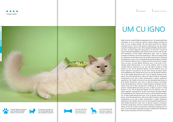 PSD 동물 템플릿 편집 한마리 표지디자인 북디자인 출판디자인 리본 내지 리플렛 백그라운드 북커버 3단접지 뼈 팜플렛 사람없음 선물상자 반려동물 눕기 고양이 발자국 반려 이미지템플릿 1 포유류 자국 모션 선물 상자 파일형식