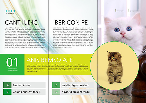 PSD 동물 템플릿 편집 표지디자인 북디자인 출판디자인 내지 새끼 리플렛 백그라운드 두마리 북커버 3단접지 팜플렛 사람없음 반려동물 고양이 반려 이미지템플릿 2 포유류 파일형식