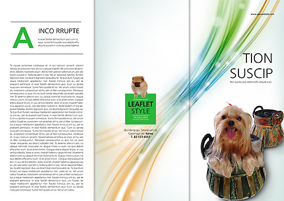 PSD 동물 템플릿 편집 표지디자인 북디자인 출판디자인 표지 새끼 리플렛 백그라운드 두마리 북커버 3단접지 팜플렛 사람없음 반려동물 바구니 개 강아지 요크셔테리어 메롱 반려 이미지템플릿 2 포유류 모션 테리어 파일형식