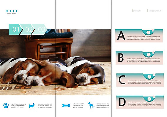 PSD 동물 템플릿 편집 표지디자인 북디자인 출판디자인 내지 리플렛 백그라운드 북커버 3단접지 뼈 세마리 팜플렛 사람없음 반려동물 눕기 잠 개 강아지 발자국 바셋하운드 반려 이미지템플릿 포유류 자국 모션 3 하운드 파일형식