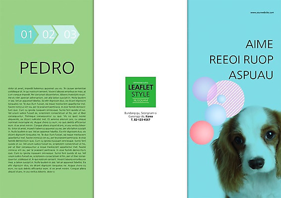 PSD 동물 템플릿 편집 한마리 표지디자인 북디자인 출판디자인 표지 새끼 리플렛 백그라운드 북커버 3단접지 팜플렛 사람없음 반려동물 개 강아지 반려 이미지템플릿 1 포유류 파일형식