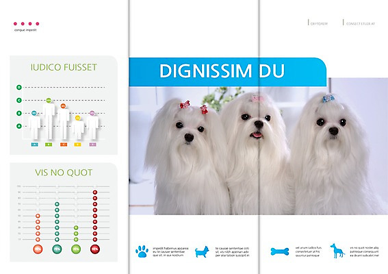 PSD 동물 템플릿 편집 표지디자인 북디자인 출판디자인 내지 리플렛 백그라운드 북커버 3단접지 그래프 뼈 사람모양 세마리 팜플렛 사람없음 반려동물 말티즈 개 강아지 머리핀 발자국 반려 이미지템플릿 모양 장신구 포유류 자국 3 파일형식